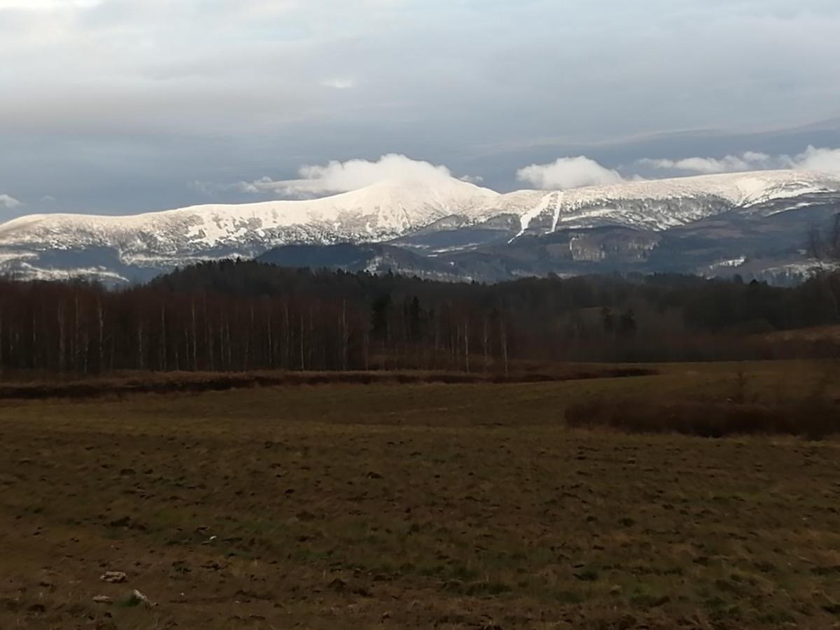 Apartament Zielone Wzgorze Jelenia Góra Exterior foto